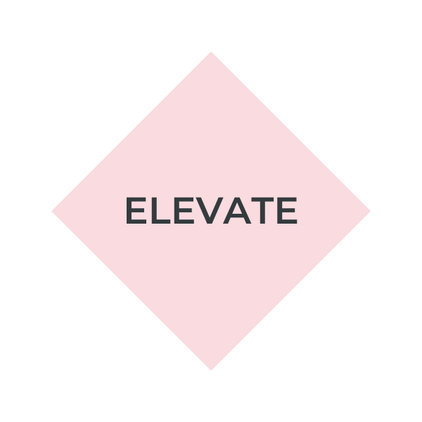 ELEVATE STRATEGY