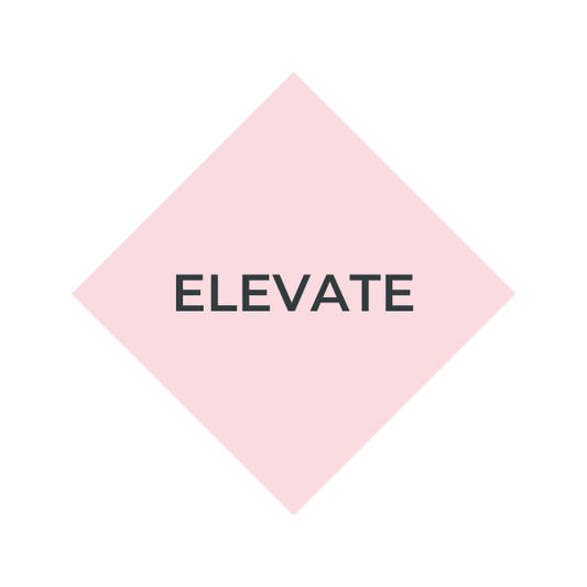 ELEVATE STRATEGY